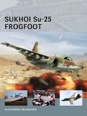 cover image of Sukhoi Su-25 Frogfoot